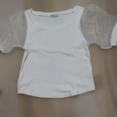 BROWNY シースルー袖ホワイトTシャツのサムネイル