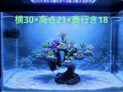 人工ライブロック　PHR91／15穴　擬岩/60cm水槽〜/海水水槽/サンゴ水槽 人工ライブロック PHR91／15穴 擬岩/60cm水槽〜/海水水槽/サンゴ水槽