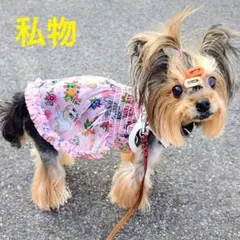 B ToyBunny AiryチュニックCircusCircusサーカスサーカスのサムネイル