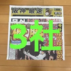 阪神 優勝 号外