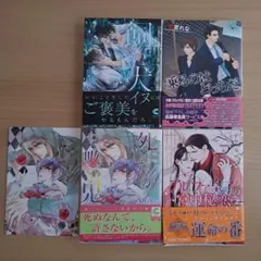 BL小説　4冊セット(21)　分売不可　まとめ売り