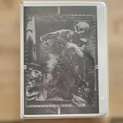 非常階段　雑音伝説　限定500 4枚組CDボックス　ノイズ　merzbow 非常階段 雑音伝説 限定500 4枚組CDボックス ノイズ merzbow