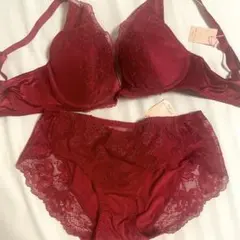 トリンプ　アモスタイルワインレッド ブラジャーショーツセット　E65