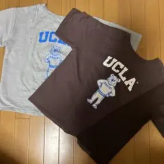 UCLA Tシャツ セット売り
