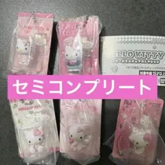【匿名配送】ハローキティ　パッケージミニチュアコレクション　5種セミコンプリート