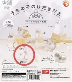 うちの子のけだまだま 店舗限定 黒ブチ 猫