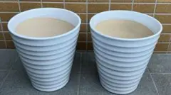 WD胡蝶蘭 植木鉢 2個セット ホワイト 陶器製 - メルカリ