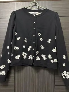 Item thumbnail for item 49d6a87c-c7ba-42b3-8968-2b600daa8826