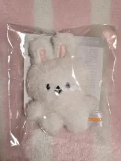 2026年最新】SKZOO ぬいぐるみ リービットの人気アイテム - メルカリ