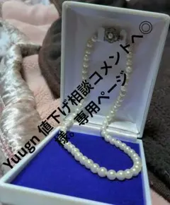 Item thumbnail for item 4379e255-af08-416f-9d53-48ee20ae1d28