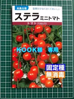 KOOK様 リクエスト 2点 おまとめ商品