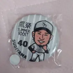 若鷹ガチャ福岡ソフトバンクホークス 杉山一樹 缶バッジ アクリル