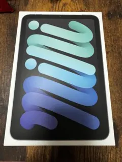 iPad mini (A17 Pro) 256GB スペースグレー