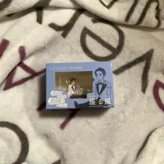 Item thumbnail for item a2f46aa4-f570-4412-a4ef-370aec66e96f