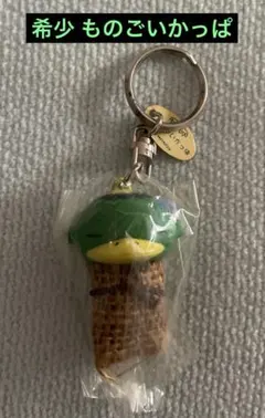 Item thumbnail for item 69b31a35-f1b2-4bc2-8d95-5043d71f45f9