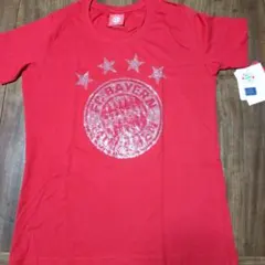 Item thumbnail for item 434f6186-1e20-4618-8001-35a722f11500