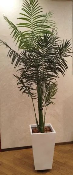 IKEA FEJKA 人工観葉植物 ケンチャヤシ 21cm 8月購入 美品 - メルカリ