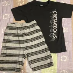 ⭐︎最終処分⭐︎ 恐竜Tシャツとショートパンツ　２点セット120 新品同様