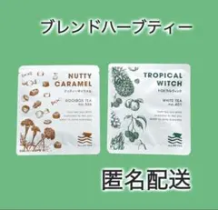 お試し 飲み比べ ハーブティー ルイボスティー 白茶 各2g 個包装 匿名発送のサムネイル