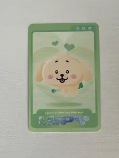 nct wish ジェヒ トレカ ispy popup md
