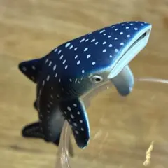 沖縄美ら海水族館　ジンベイザメのフチ子のサムネイル
