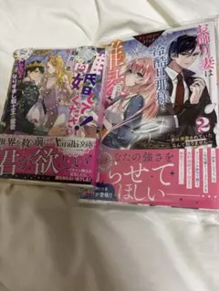 Item thumbnail for item ef84949d-d87c-4ff5-bc2b-24ba69ce1686