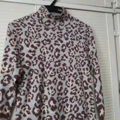 ZARA、レオパード、ワンピース Ｓサイズ（ニット）春、秋、冬