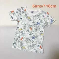 PETITBATEAU プチバトー　恐竜柄プリントTシャツ肌着　6ans/116