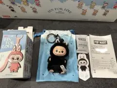 POPMART PIN FOR LOVE ぬいぐるみ ラブブ イニシャル 【R】
