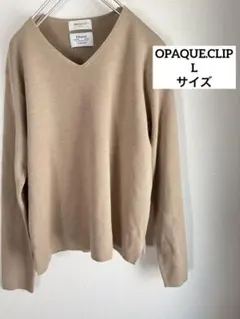 【Filivivi for OPAQUE.CLIP】Vネックニット/40 L