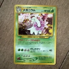 メガニウム_プレミアムファイル PROMO 第1世代 1996~1999