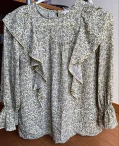 Item thumbnail for item 22ff5d5d-80fb-42c9-ad5a-8926e4ae3376