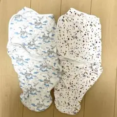 Item thumbnail for item 9eb9e9ed-d625-42bb-9ec7-5ee1c4bfface