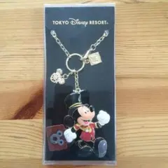 廃番東京ディズニーランドホテルキーチェーン