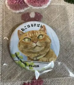 ねこはるすばん　缶バッジ　新品