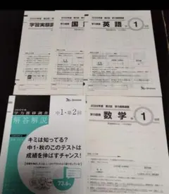 Item thumbnail for item 71ec9545-96c3-4256-abcf-f0f752a18895