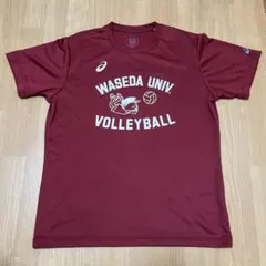 激レア 早稲田大学バレーボール 歴代優勝記念Tシャツ 激レア 早稲田大学バレーボール 歴代優勝記念Tシャツ 早稲田大学