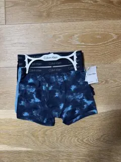 Item thumbnail for item 3d05d000-791b-499c-bbab-33de181c7874