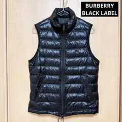 Item thumbnail for item 4b2a3b74-ec13-423e-8842-5d5b33235b7f