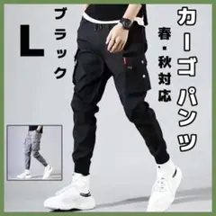 Item thumbnail for item 58f9d815-2e7c-4d07-b6f3-6353d998a73c