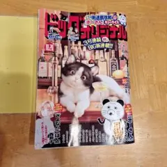 ビッグコミックオリジナル 青年漫画