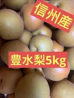 ☆本日発送☆平和 5kg 信州産 あんず 杏 生あんず アプリコット - メルカリ