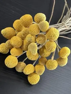 もふ様 リクエスト 3点 まとめ商品