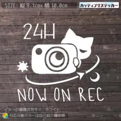ドラレコ録画⑪猫1カッティングステッカー ドライブレコーダー・ネコ・24時間
