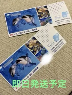 えのすい　新江ノ島水族館入場ご招待券2枚　即日発送予定