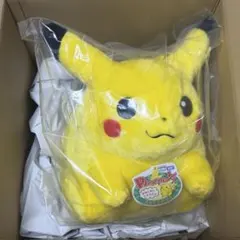 ポケットモンスター 30周年記念 おかえり！ピカチュウ1/1 ぬいぐるみ