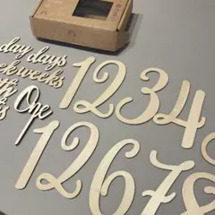 Item thumbnail for item 23111274-5243-4407-9645-0a49591c507f