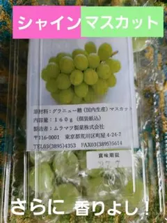 元祖村松製菓☘️山梨県笛吹産☘️シャインマスカットボンボン☘️未