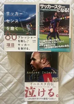 Item thumbnail for item 41c121a5-df5e-4b29-8be1-7de9e8018572