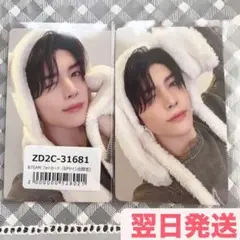 &TEAM andTEAM MAKI マキ　アニマルトレカ コンプ セット